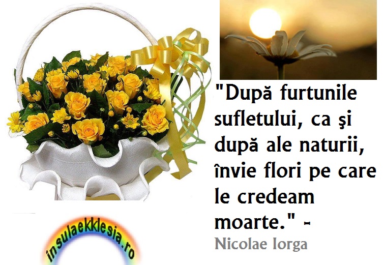Nicolae Iorga,citate